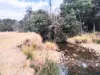 855 Tyne Road, Mathinna, Tas 7214-Image
