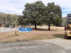 855 Tyne Road, Mathinna, Tas 7214-Image