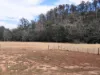 855 Tyne Road, Mathinna, Tas 7214-Image