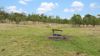 856 Esk Crows Nest Road, Biarra QLD 4313-Image