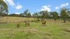 856 Esk Crows Nest Road, Biarra QLD 4313-Image