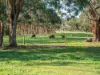856 Koroit-Woolsthorpe Road, Woolsthorpe, Vic 3276-Image