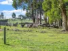 856 Koroit-Woolsthorpe Road, Woolsthorpe, Vic 3276-Image