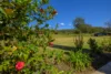 856 Tagigan Road, Wolvi, Qld 4570-Image