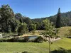 857 Upper Orara Way, Upper Orara, NSW 2450-Image