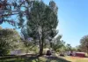 86-88 Williams Street, Brookton, WA 6306-Image
