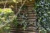 86-88A Cliff Road, Tamborine Mountain, Qld 4272-Image