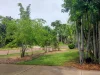 86 Allwright St, Wanguri, NT 0810-Image