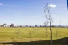 86 Bill Ferguson Circuit, Bonner, ACT 2914-Image