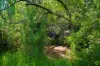 86 Garfield Road, Numbugga, NSW 2550-Image