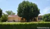 86 Gobolion Street, Wellington, NSW 2820-Image