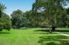86 Moore Street, Leichhardt, NSW 2040-Image
