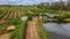 86 Simpsons Road, Bullyard QLD 4671-Image