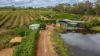 86 Simpsons Road, Bullyard QLD 4671-Image