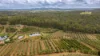 86 Simpsons Road, Bullyard QLD 4671-Image