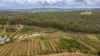 86 Simpsons Road, Bullyard QLD 4671-Image