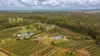 86 Simpsons Road, Bullyard QLD 4671-Image