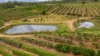 86 Simpsons Road, Bullyard QLD 4671-Image