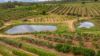 86 Simpsons Road, Bullyard QLD 4671-Image