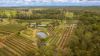 86 Simpsons Road, Bullyard QLD 4671-Image