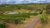 86 Simpsons Road, Bullyard QLD 4671-Image