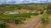 86 Simpsons Road, Bullyard QLD 4671-Image