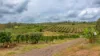 86 Simpsons Road, Bullyard QLD 4671-Image
