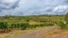 86 Simpsons Road, Bullyard QLD 4671-Image