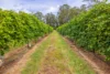 86 Simpsons Road, Bullyard QLD 4671-Image