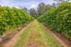 86 Simpsons Road, Bullyard QLD 4671-Image