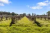 86 St George Terrace, Armagh, SA 5453-Image