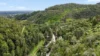 86 Waterfall Gully Road, Waterfall Gully, SA 5066-Image