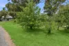87 Arrowsmith Street, Beveridge, Vic 3753-Image