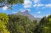 87 Bonnydoon Road, Uki, NSW 2484-Image