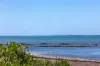 87 Byrnes Road, Shoreham, Vic 3916-Image