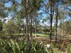 87 Francisca Drive, Augustine Heights QLD 4300-Image