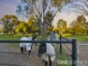 87 Honniball Drive, Tocumwal, NSW 2714-Image