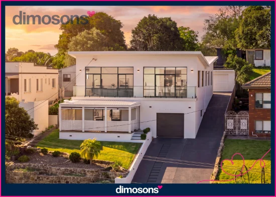 87 Lake Heights Road, Lake Heights, NSW 2502 - For Sale