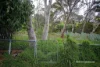 87 Martin Street, Ravensthorpe, WA 6346-Image