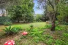 87 Medley Road, Sunlands, SA 5322-Image