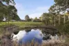 87 Murphy Road, Houghton, SA 5131-Image