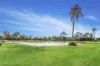 87 Palm Tree Drive, Safety Beach, Vic 3936-Image