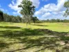 87 Phipps Street West, Nanango, Qld 4615-Image