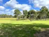 87 Phipps Street West, Nanango, Qld 4615-Image