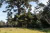 87 Possum Road, Beaconsfield TAS 7270-Image