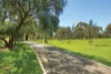 87 Talbot Crescent, Kooyong, Vic 3144-Image