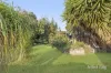 87 William Street, Newport, Vic 3015-Image