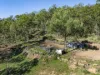 870 Esk Hampton Rd, Redbank Creek, Qld 4312-Image