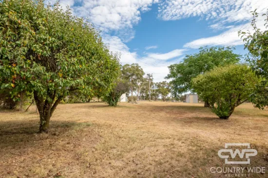 873 Polhill Road, Wellingrove, NSW 2370-Image