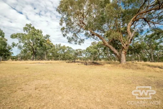 873 Polhill Road, Wellingrove, NSW 2370-Image